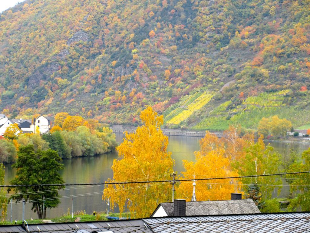 Moselschoen Das Ferienhaus 布罗登巴赫 客房 照片